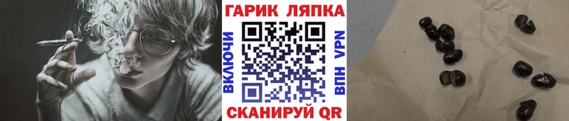 сайты даркнета официальный сайт  ссылка на мегу рабочий сайт  Мичуринск  ГАШИШ Изолятор 