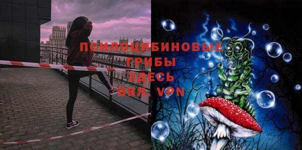 бутират Алексеевка