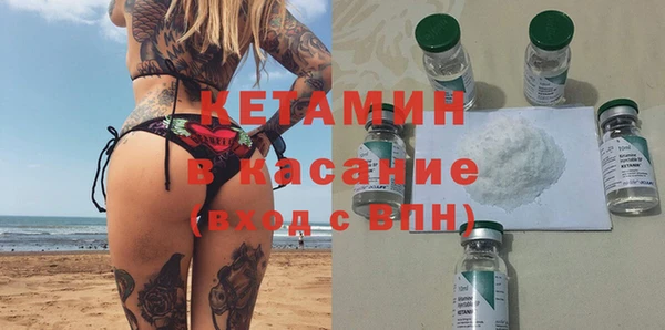 сатива Алзамай