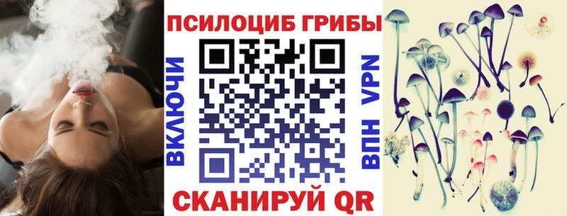 сколько стоит  Мичуринск  ссылка на мегу вход  Галлюциногенные грибы Psilocybe 